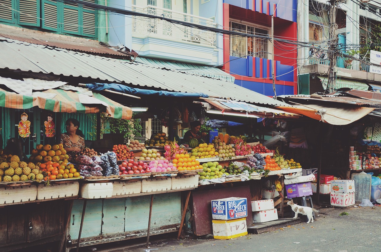钻石小鸟全国门店数量及其影响力分析，门店数量概览与影响探究