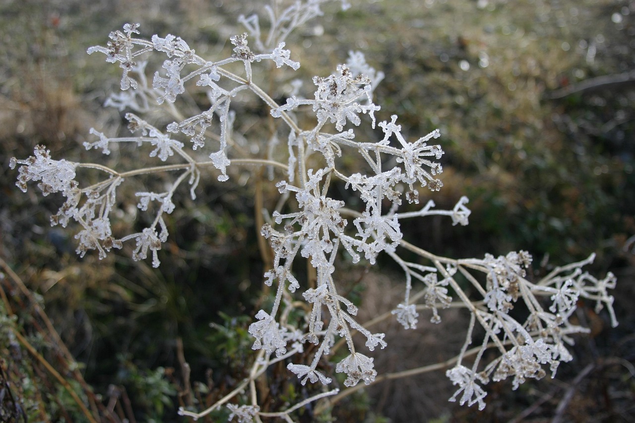 天然水晶石原石图片，展现大自然神秘魅力的宝石奇观