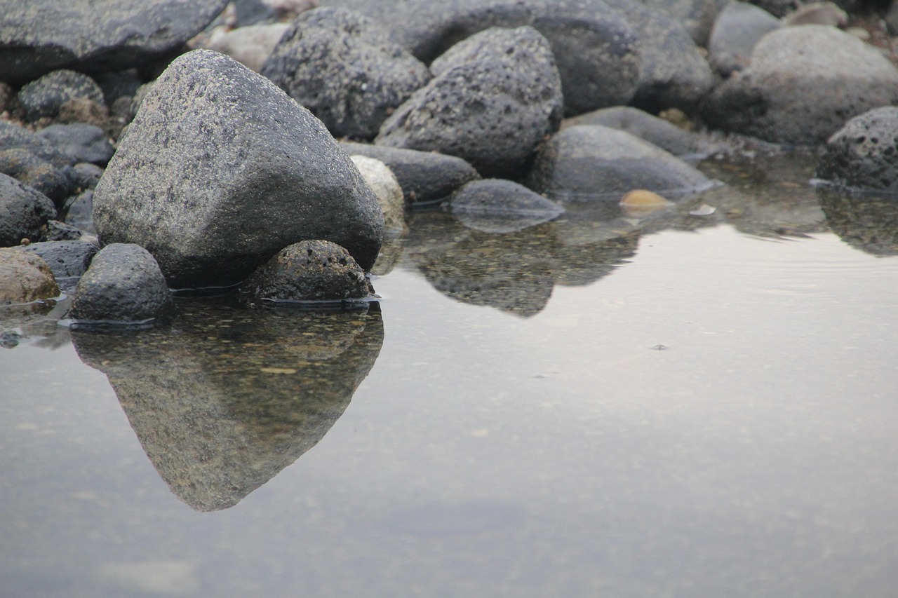 初告白 第188页