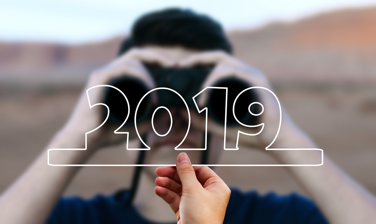 搜2019年全年资料大全,搜2019年全年资料大全，回顾与展望