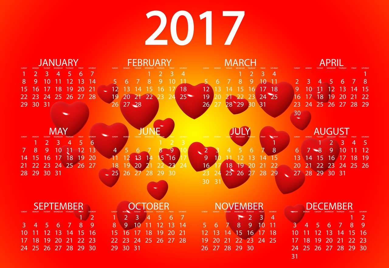 365免费每一天论坛,探索与成长，在365免费每一天论坛的多元世界